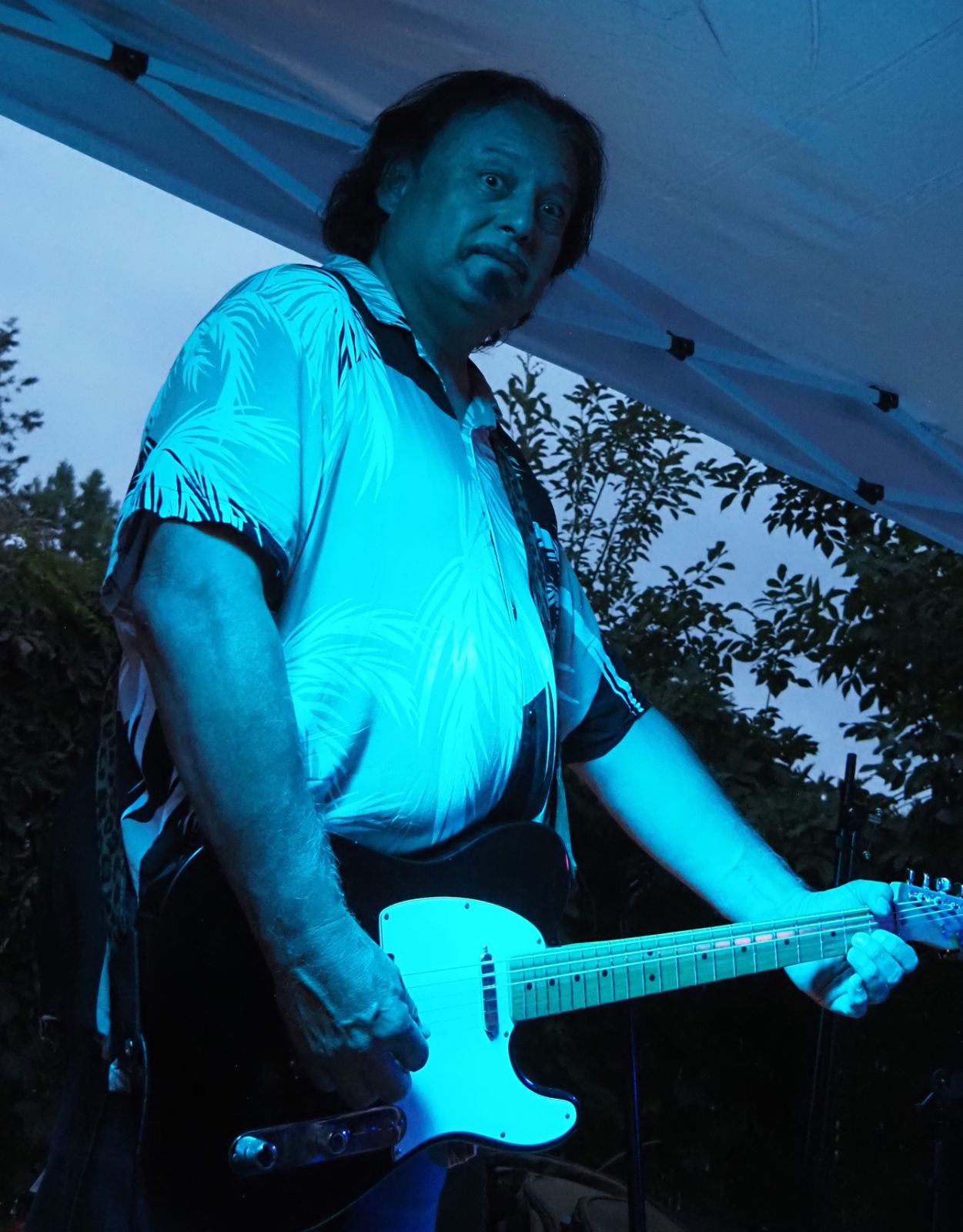 Donny Dark, Shelvis and the Roustabouts, photo by Stacy Cushing McClure